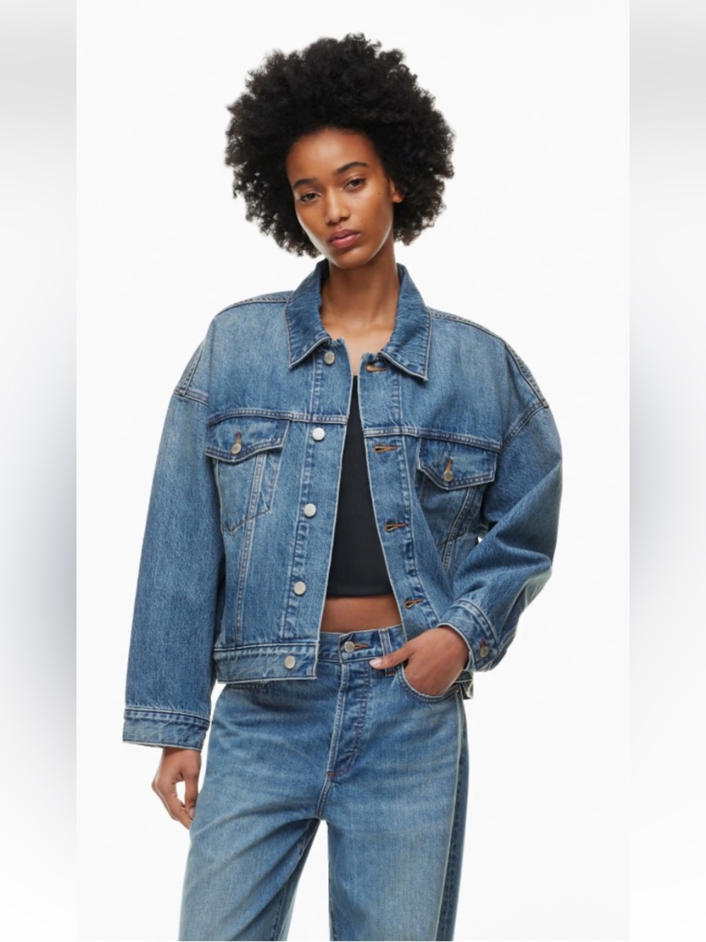 Aritzia Denim Forum Ali Vintage Denim Jacket